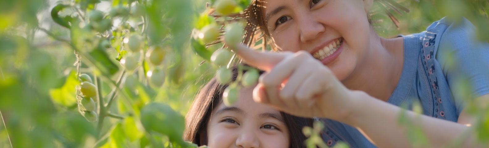 image of mother and daughter looking at grapes on a vine